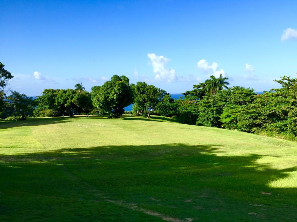 Goblin Hill Villas At San San Drapers エクステリア 写真